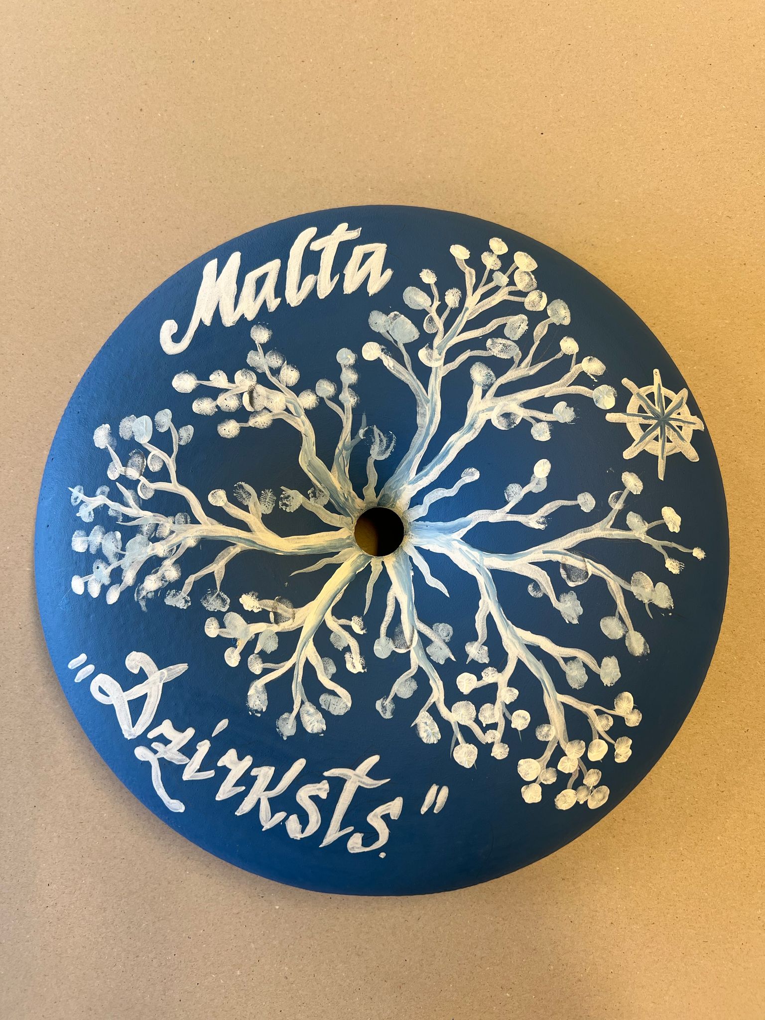 savisanas-cels_25
