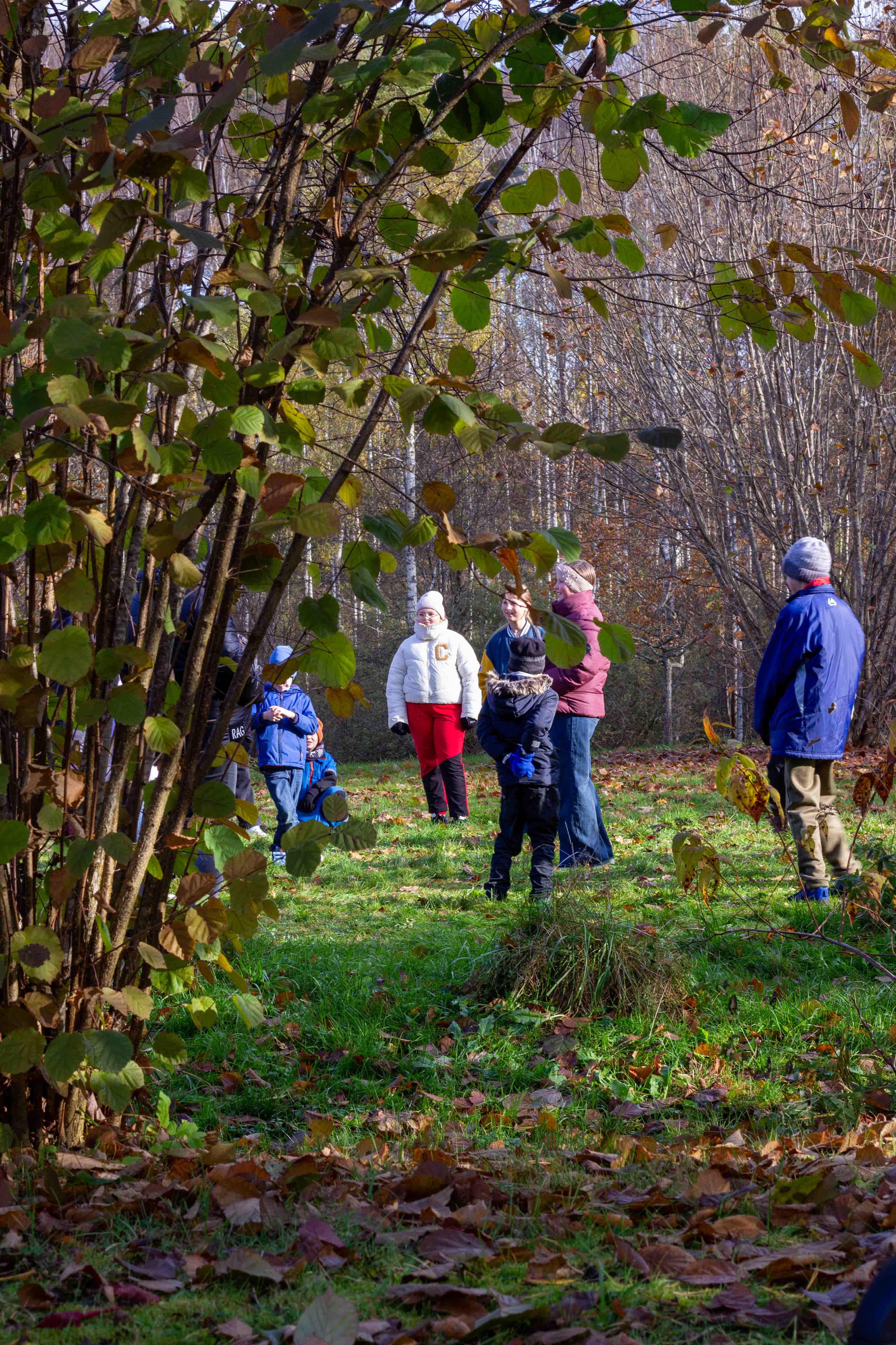 vasali-breivlaika_149