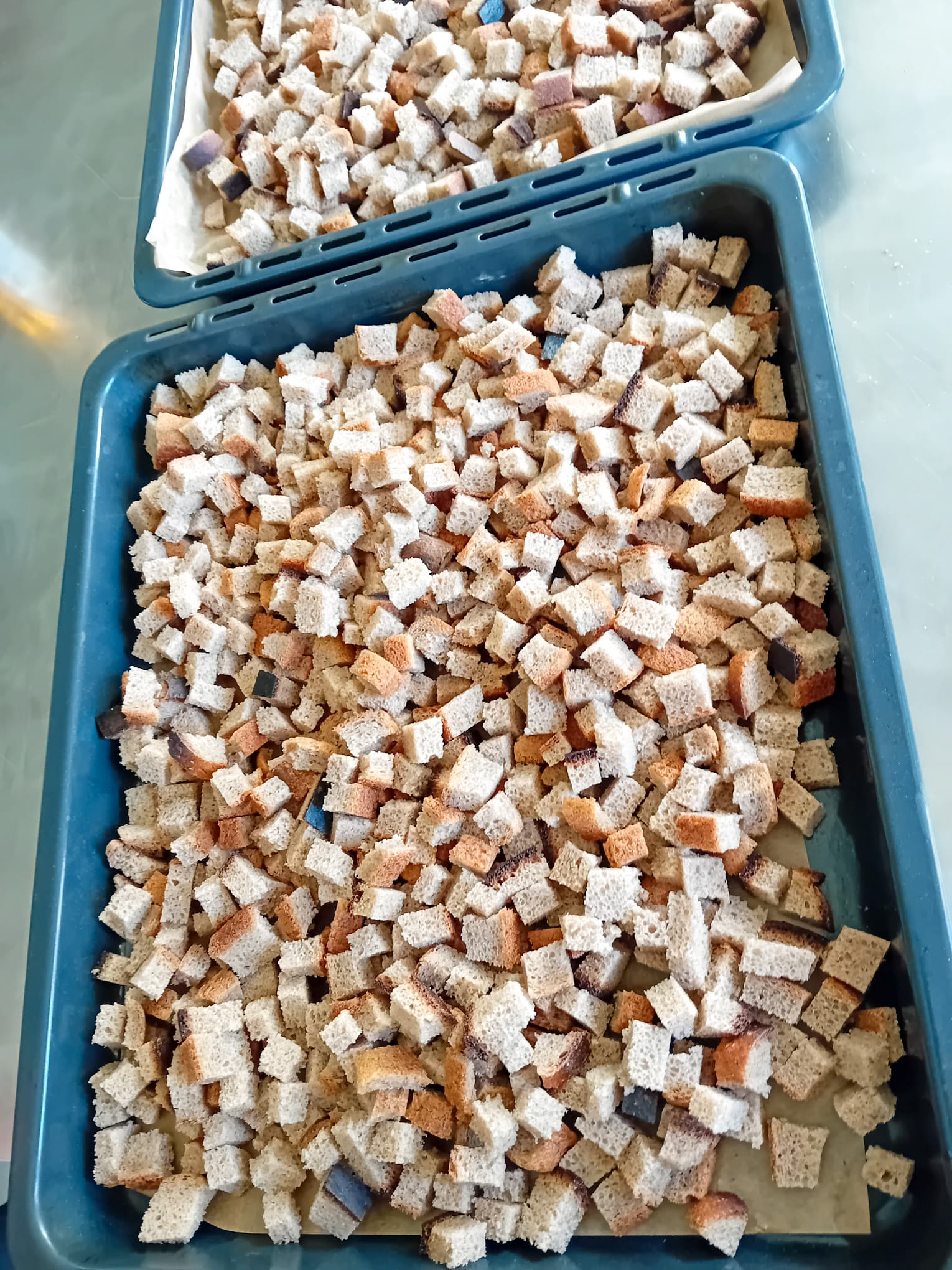 vasali-breivlaika_63