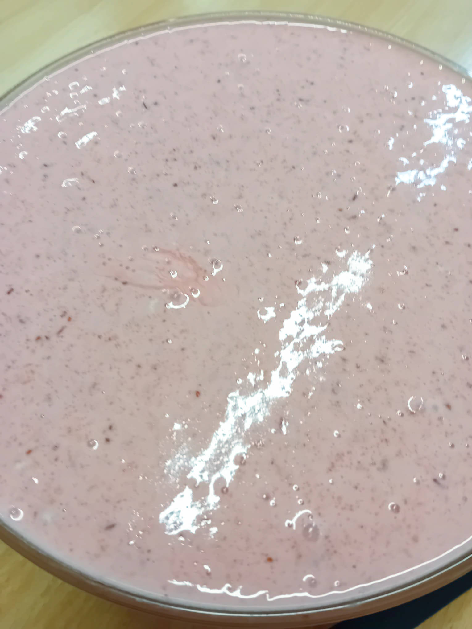 vasali-breivlaika_66