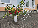 zinibu-diena-01-09-26_1